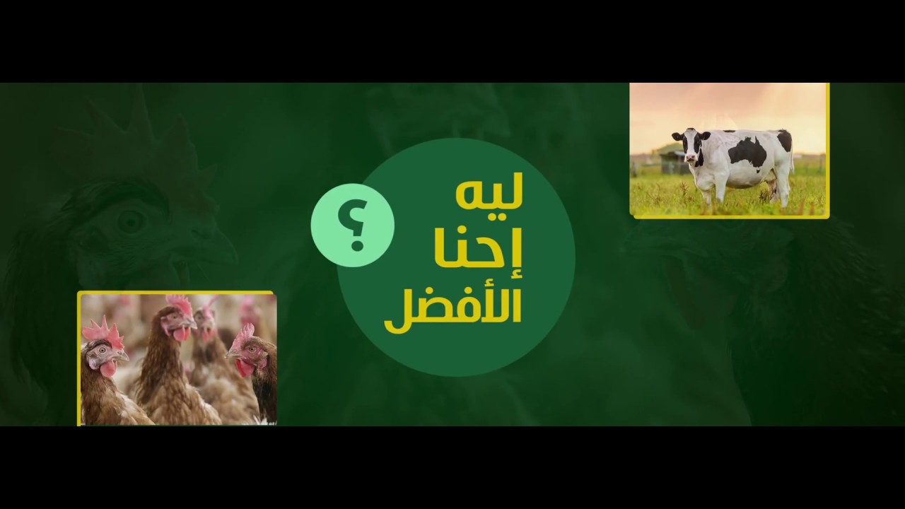 أعمال موشن جرافيك وتحريك بصري