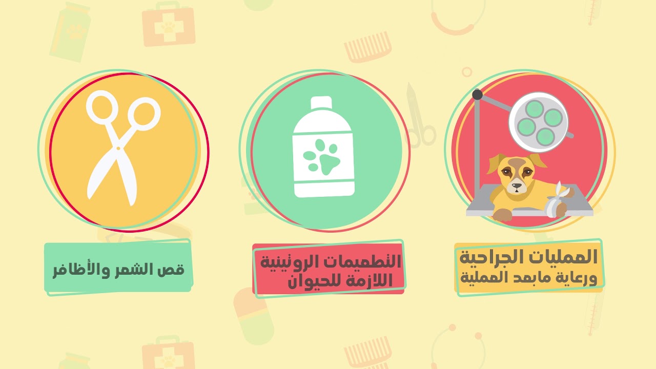 أعمال موشن جرافيك وتحريك بصري