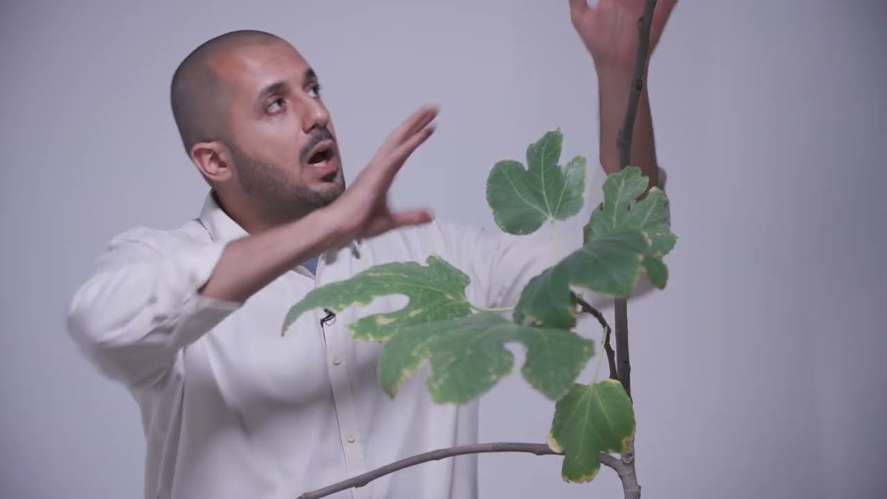 أعمال مونتاج فيديو احترافي